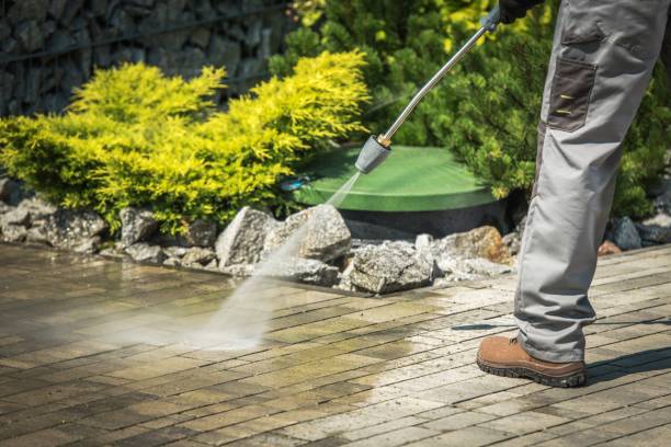 Best Oil Spill Cleanup  in South Pasadena, FL