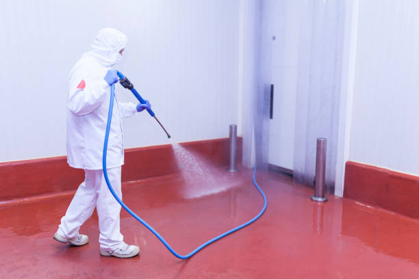 Best Driveway Pressure Washing  in South Pasadena, FL