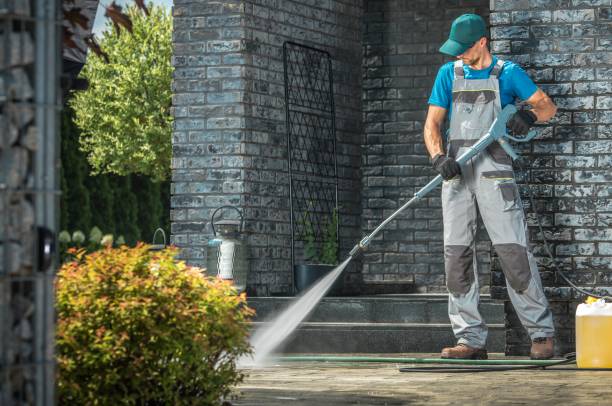 Best Animal Enclosure Cleaning  in South Pasadena, FL