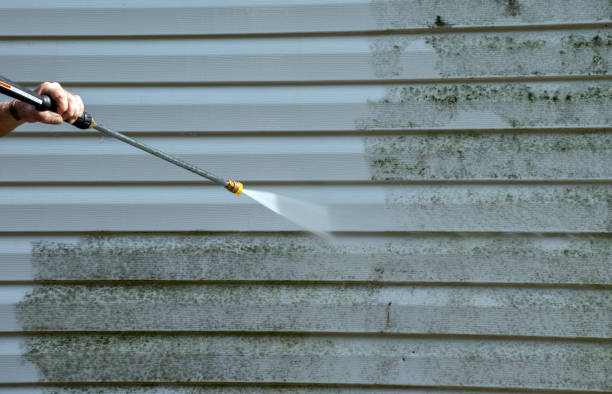 Best Roof Washing  in South Pasadena, FL